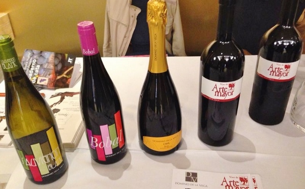 Presentación_Utiel_Requena_Madrid_Dominio_Vega